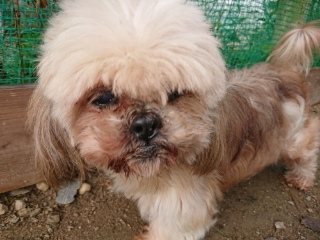 f:id:roukenhome-ann:20181119082621j:plain