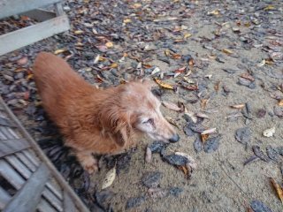 f:id:roukenhome-ann:20181119082710j:plain