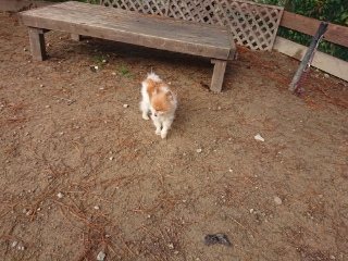 f:id:roukenhome-ann:20181119082736j:plain