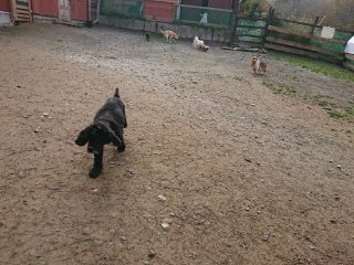 f:id:roukenhome-ann:20181119082754j:plain
