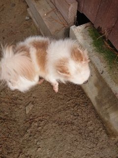 f:id:roukenhome-ann:20181119082758j:plain