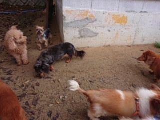 f:id:roukenhome-ann:20181119082807j:plain