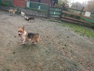 f:id:roukenhome-ann:20181119082836j:plain