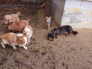 f:id:roukenhome-ann:20181119082848j:plain