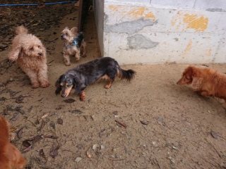f:id:roukenhome-ann:20181119082856j:plain