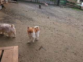 f:id:roukenhome-ann:20181119082912j:plain