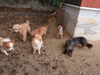 f:id:roukenhome-ann:20181119082920j:plain