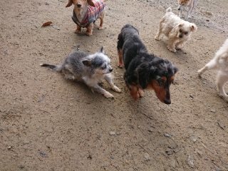 f:id:roukenhome-ann:20181119082924j:plain
