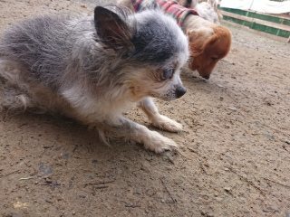 f:id:roukenhome-ann:20181119082932j:plain
