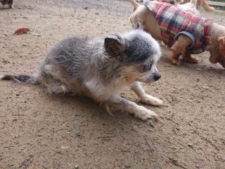 f:id:roukenhome-ann:20181119082939j:plain