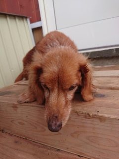 f:id:roukenhome-ann:20181119082947j:plain