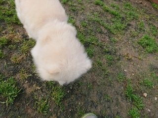 f:id:roukenhome-ann:20181119082955j:plain