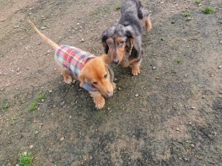 f:id:roukenhome-ann:20181119083002j:plain