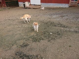 f:id:roukenhome-ann:20181119083009j:plain