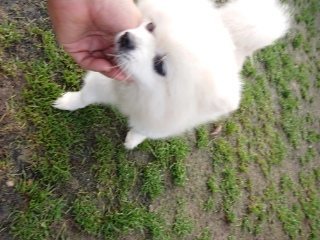 f:id:roukenhome-ann:20181119083028j:plain