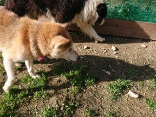 f:id:roukenhome-ann:20181119083112j:plain