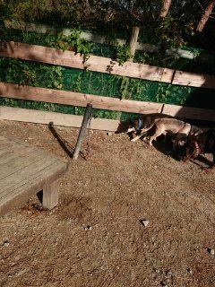f:id:roukenhome-ann:20181119083128j:plain