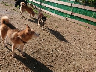 f:id:roukenhome-ann:20181119083144j:plain