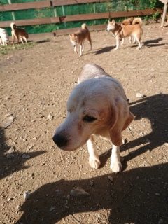 f:id:roukenhome-ann:20181119083209j:plain