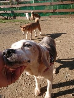 f:id:roukenhome-ann:20181119083225j:plain