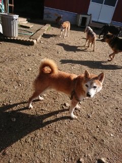 f:id:roukenhome-ann:20181119083249j:plain