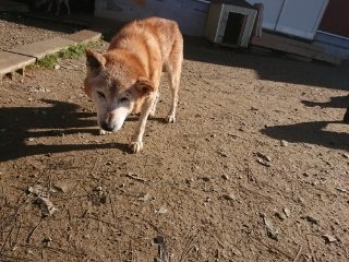 f:id:roukenhome-ann:20181119083253j:plain