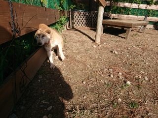 f:id:roukenhome-ann:20181119083257j:plain