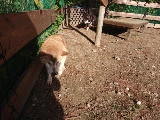 f:id:roukenhome-ann:20181119083301j:plain