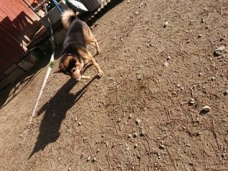 f:id:roukenhome-ann:20181119083348j:plain