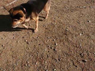 f:id:roukenhome-ann:20181119083352j:plain