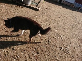 f:id:roukenhome-ann:20181119083405j:plain