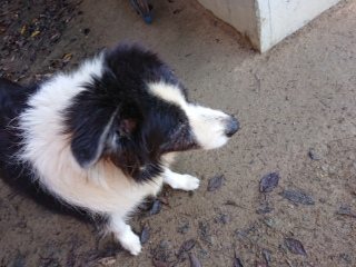 f:id:roukenhome-ann:20181119083448j:plain