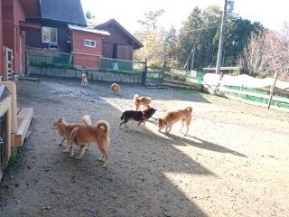 f:id:roukenhome-ann:20181119083455j:plain