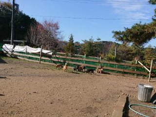 f:id:roukenhome-ann:20181119083503j:plain