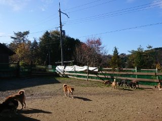 f:id:roukenhome-ann:20181119083508j:plain