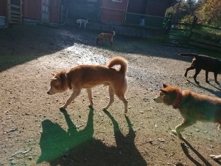 f:id:roukenhome-ann:20181119083516j:plain