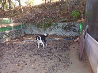 f:id:roukenhome-ann:20181119083525j:plain