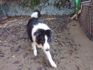 f:id:roukenhome-ann:20181119083530j:plain