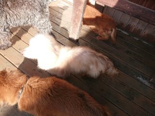 f:id:roukenhome-ann:20181119083534j:plain