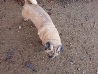 f:id:roukenhome-ann:20181119083618j:plain