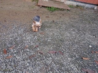 f:id:roukenhome-ann:20181119083637j:plain