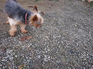 f:id:roukenhome-ann:20181119083646j:plain