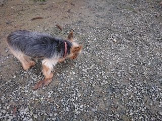 f:id:roukenhome-ann:20181119083653j:plain