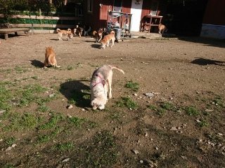 f:id:roukenhome-ann:20181119083734j:plain