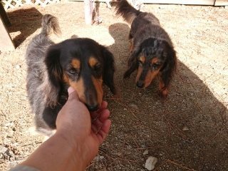 f:id:roukenhome-ann:20181119083745j:plain