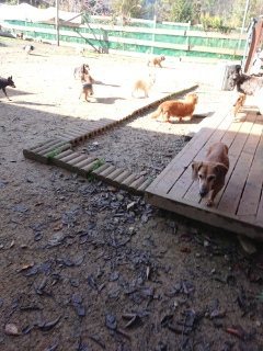 f:id:roukenhome-ann:20181119083754j:plain