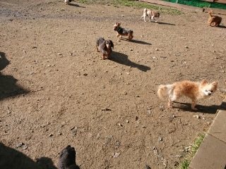 f:id:roukenhome-ann:20181119083802j:plain