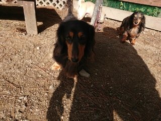 f:id:roukenhome-ann:20181119083811j:plain