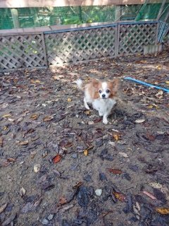 f:id:roukenhome-ann:20181119083819j:plain
