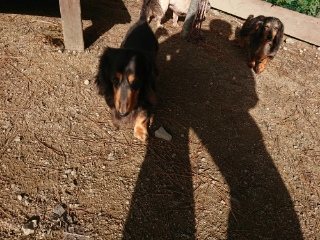 f:id:roukenhome-ann:20181119083832j:plain